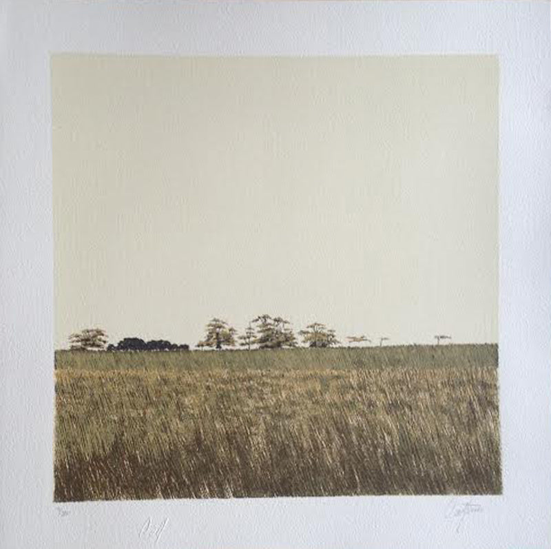 Enrique CATTANEO, "Paisaje", Silkscreen (CAT323)
