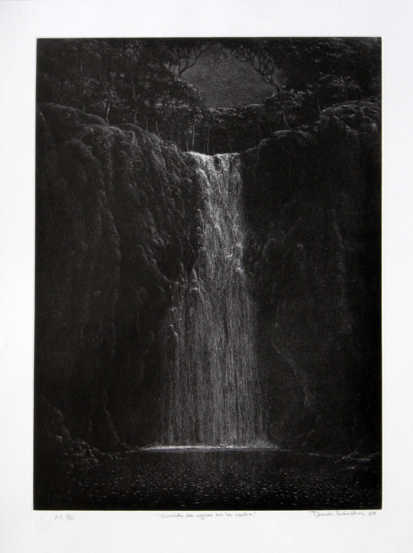 Tomás Sánchez, "Sonido de aguas en la noche", Engraving (SAN102)