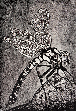 Luis Miguel VALDÉS, "La Picada", Woodcut (VAL361)